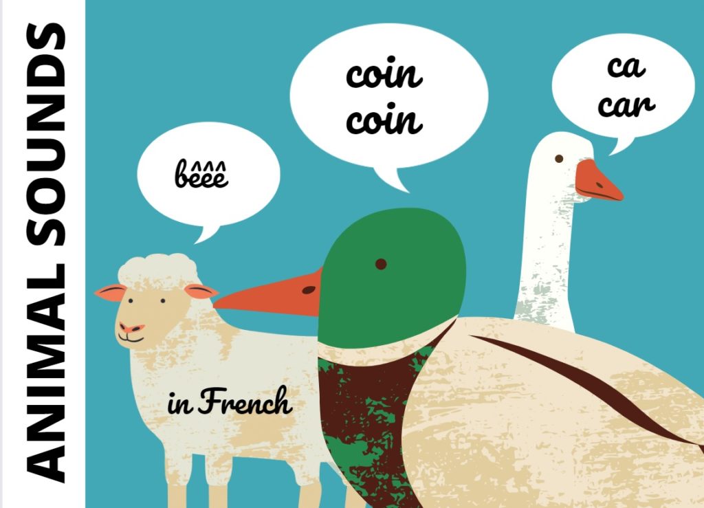 Onomatopoeia: Animal sounds in French - Frenchanted