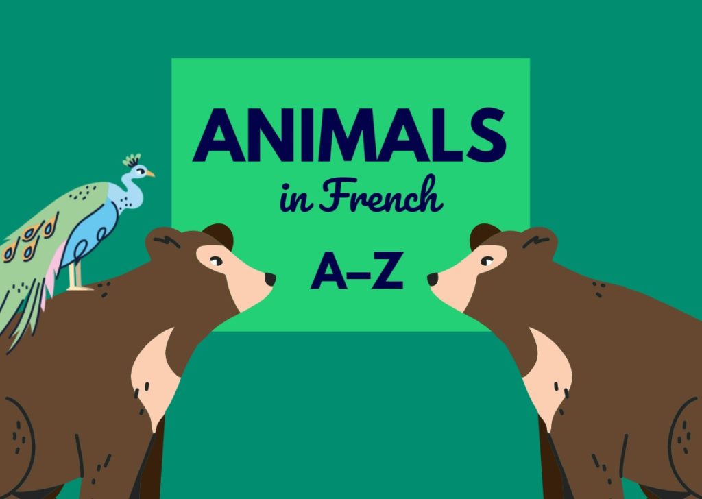 An exhaustive list of animal names in French - Frenchanted